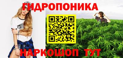 дмт Кинель
