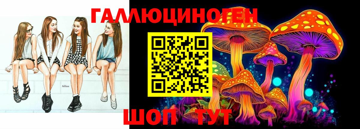 Псилоцибиновые грибы GOLDEN TEACHER Краснокаменск
