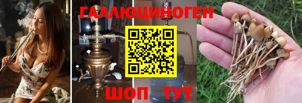 Галлюциногенные грибы прущие грибы  Вход с VPN  Краснокаменск 